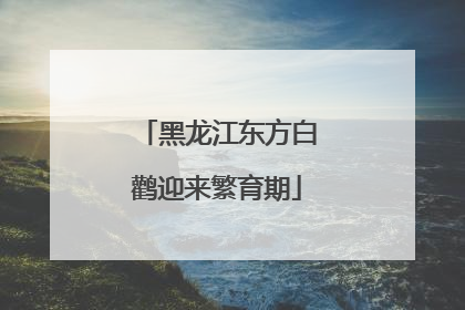 黑龙江东方白鹳迎来繁育期