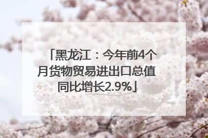 黑龙江：今年前4个月货物贸易进出口总值同比增长2.9%