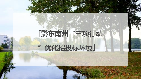 黔东南州“三项行动”优化招投标环境