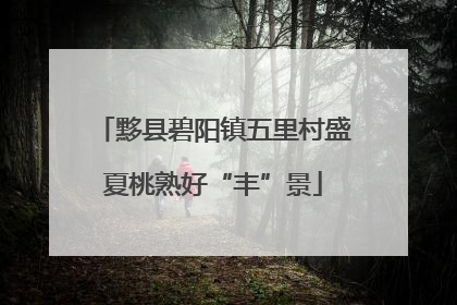 黟县碧阳镇五里村盛夏桃熟好“丰”景