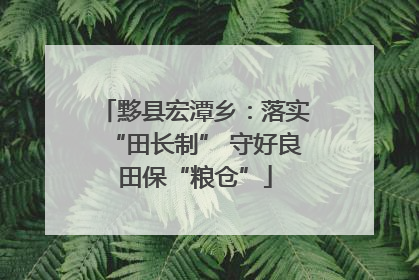 黟县宏潭乡：落实“田长制” 守好良田保“粮仓”