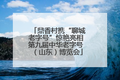 鼎香村携“聊城老字号”惊艳亮相第九届中华老字号（山东）博览会