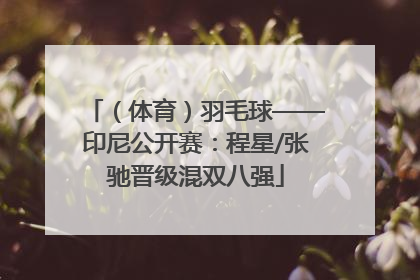 （体育）羽毛球——印尼公开赛：程星/张驰晋级混双八强