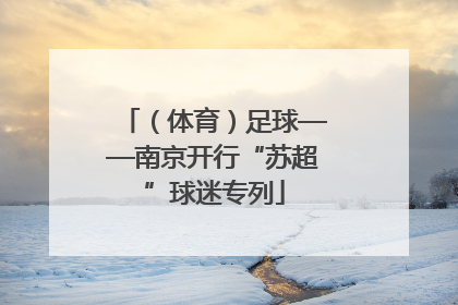 （体育）足球——南京开行“苏超”球迷专列