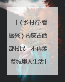 （乡村行·看振兴）内蒙古西部村民：不再羡慕城里人生活