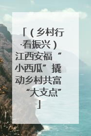 （乡村行·看振兴）江西安福“小西瓜”撬动乡村共富“大支点”