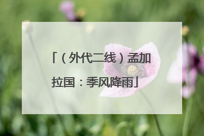 （外代二线）孟加拉国：季风降雨