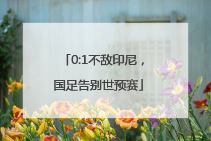 0:1不敌印尼，国足告别世预赛