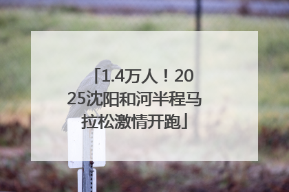 1.4万人！2025沈阳和河半程马拉松激情开跑