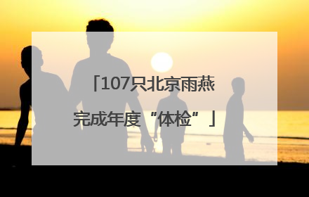 107只北京雨燕完成年度“体检”