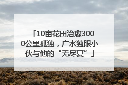 10亩花田治愈3000公里孤独，广水独眼小伙与他的“无尽夏”