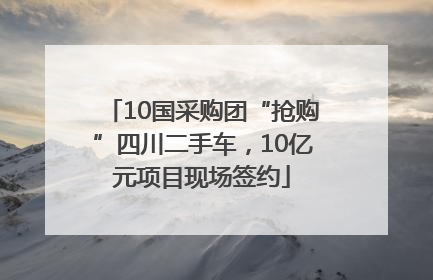 10国采购团“抢购”四川二手车，10亿元项目现场签约