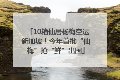 10箱仙居杨梅空运新加坡！今年首批“仙梅”抢“鲜”出国
