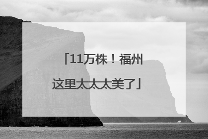 11万株！福州这里太太太美了