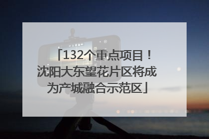 132个重点项目！沈阳大东望花片区将成为产城融合示范区