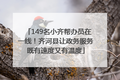 149名小齐帮办员在一线！齐河县让政务服务既有速度又有温度