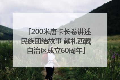 200米唐卡长卷讲述民族团结故事 献礼西藏自治区成立60周年