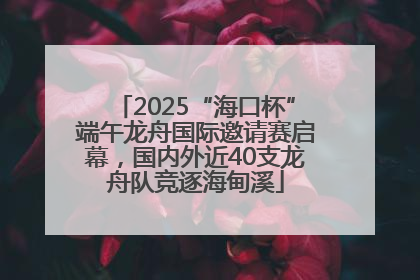 2025“海口杯”端午龙舟国际邀请赛启幕，国内外近40支龙舟队竞逐海甸溪