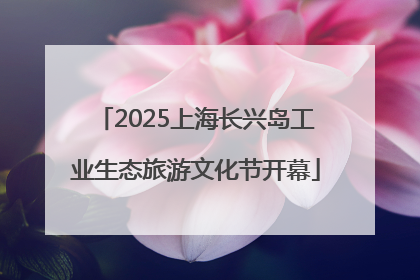 2025上海长兴岛工业生态旅游文化节开幕