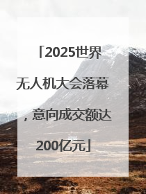 2025世界无人机大会落幕，意向成交额达200亿元