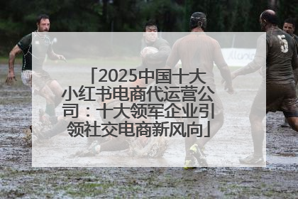 2025中国十大小红书电商代运营公司：十大领军企业引领社交电商新风向