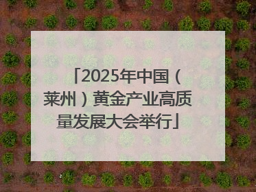 2025年中国（莱州）黄金产业高质量发展大会举行