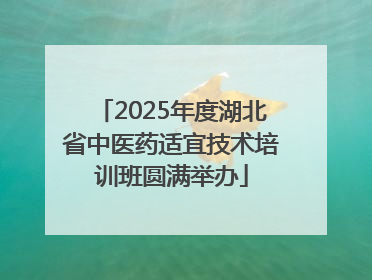 2025年度湖北省中医药适宜技术培训班圆满举办
