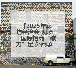 2025年廊坊经洽会·现场丨国际招商“磁力”足 外商争相向河北推介项目