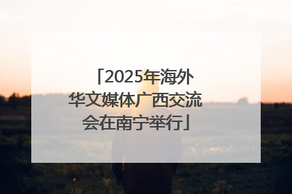 2025年海外华文媒体广西交流会在南宁举行