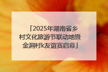 2025年湖南省乡村文化旅游节联动地暨金洞村k友谊赛启幕
