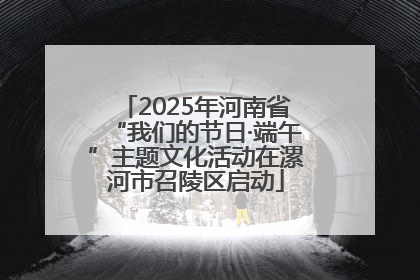 2025年河南省“我们的节日·端午”主题文化活动在漯河市召陵区启动