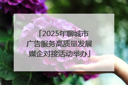 2025年聊城市广告服务高质量发展媒企对接活动举办