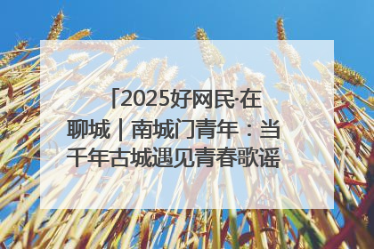 2025好网民·在聊城｜南城门青年：当千年古城遇见青春歌谣 一湖碧水见证的“聊城式浪漫”