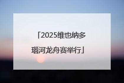 2025维也纳多瑙河龙舟赛举行