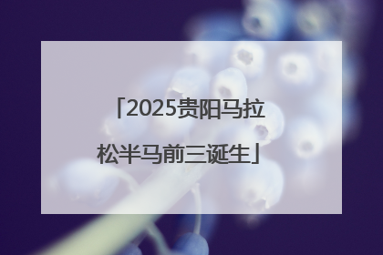 2025贵阳马拉松半马前三诞生
