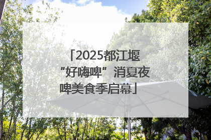 2025都江堰“好嗨啤”消夏夜啤美食季启幕