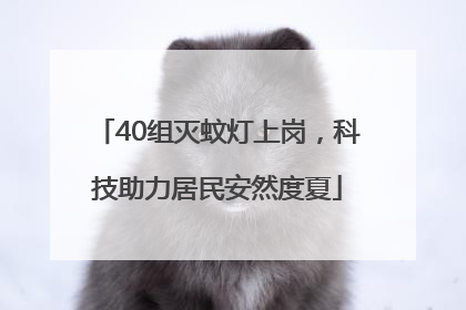 40组灭蚊灯上岗，科技助力居民安然度夏