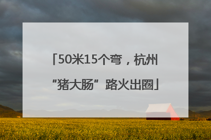 50米15个弯，杭州“猪大肠”路火出圈