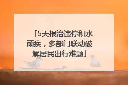 5天根治违停积水顽疾，多部门联动破解居民出行难题