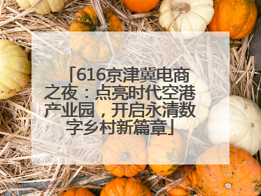 616京津冀电商之夜：点亮时代空港产业园，开启永清数字乡村新篇章