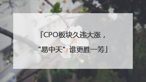 CPO板块久违大涨，“易中天”谁更胜一筹