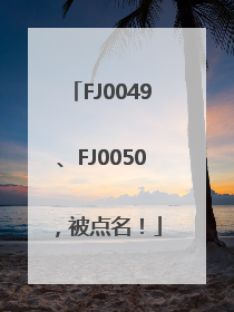 FJ0049、FJ0050，被点名！