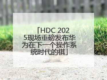 HDC 2025现场重磅发布华为在下一个操作系统时代的棋